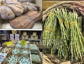 六安市大别山农副产品上海体验馆静安区揭牌 沪皖协作新篇章