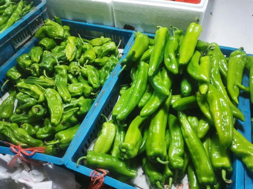 台风过后，金山的菜能吃吗？会涨价吗？农副产品给出了答案